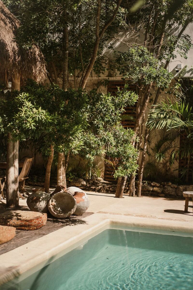 Piscina cercada por árvores, pedras e plantas