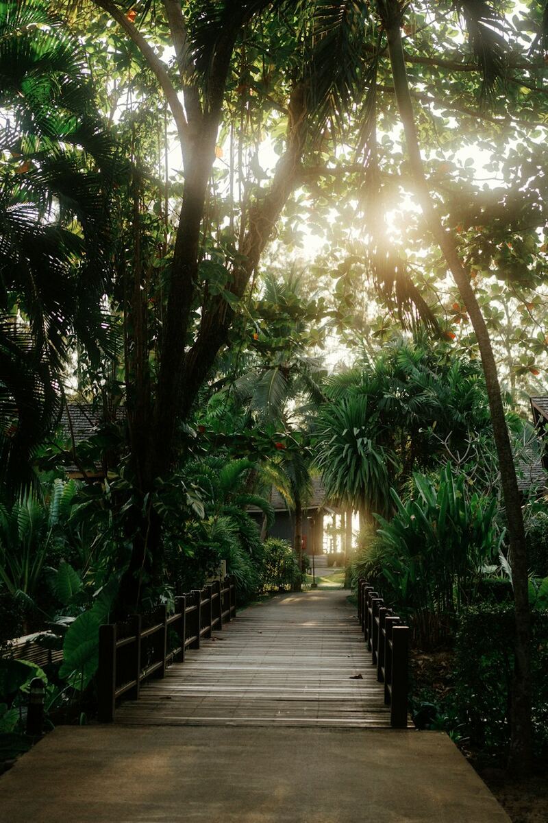 Caminho de madeira pelo jardim, a poucos passos da suíte